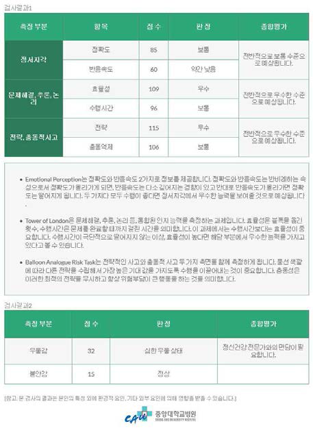 CNT 검사 결과표 견본