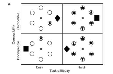 Flanker compatibility task (FCT)