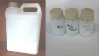 연구 개발된 전색제 샘플과 양산시험공급 포장 (5L 단위)
