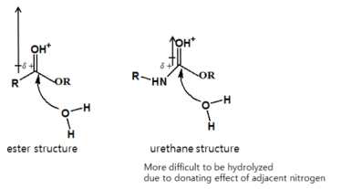 ester, urethane 구조의 가수 분해성 비교