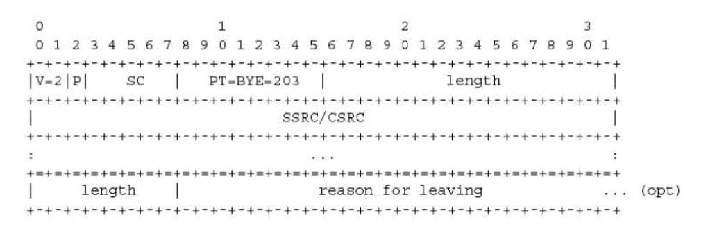 SDES RTCP 패킷