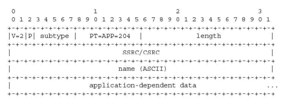 APP RTCP 패킷