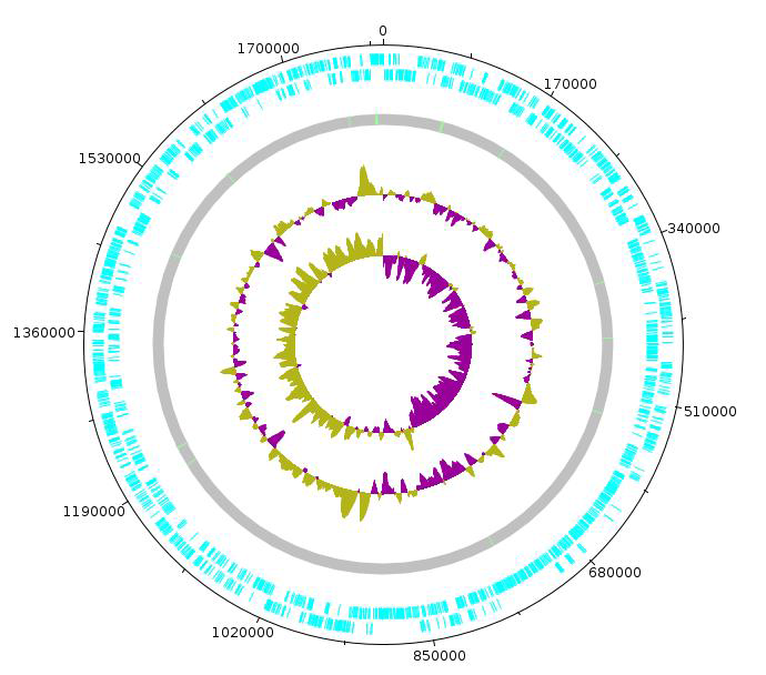 Parabacteroides distasonis CBA7138 의 원형 유전체 지도