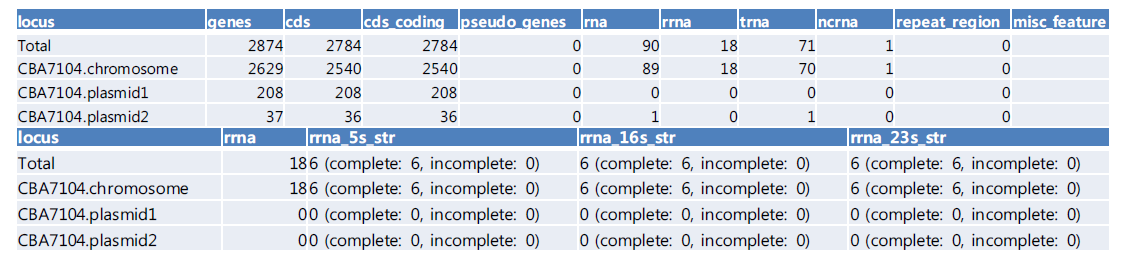 Lactobacillus casei CBA7104 유전체 해석 결과