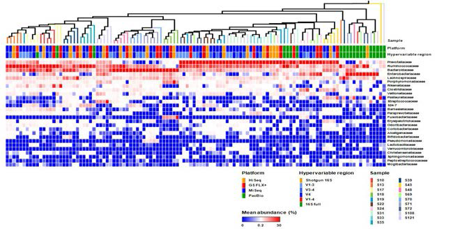 NGS platform 및 16S rRNA target region 별 장내미생물 분석 결과