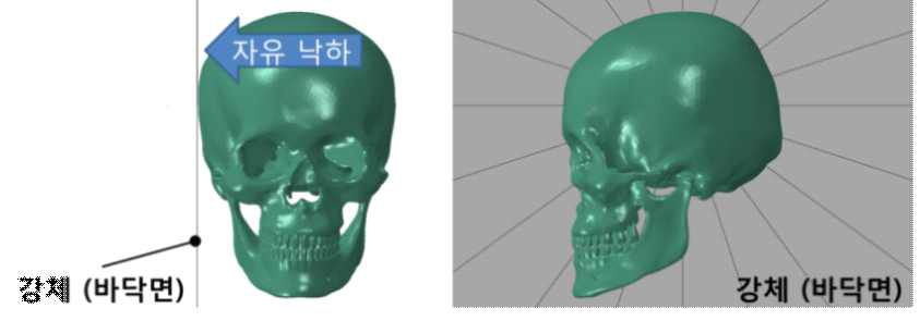 추락에 의한 머리 자유낙하 충격 시험 조건