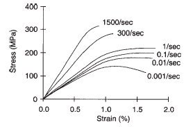 Strain rate 속도에 따른 뼈의 응력-변형률 곡선 19