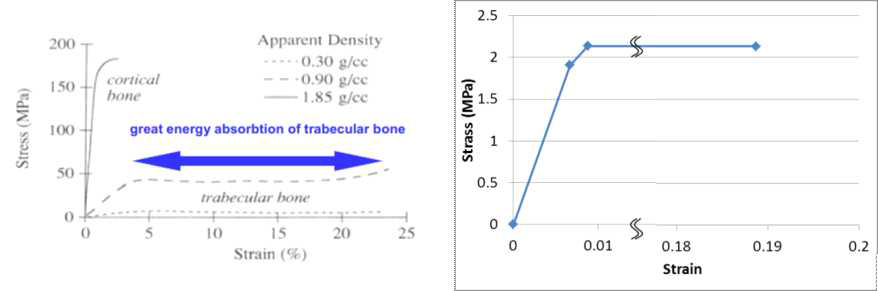 실험에서 측정된 해면골의 stress-strain 곡선과 본 연구에서 사용된 해면골의 stress-strain 곡선