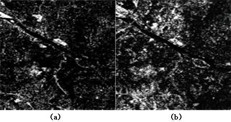 (a) NDVI 화소차 이미지 (b) CVA에 따른 변화크기 영상