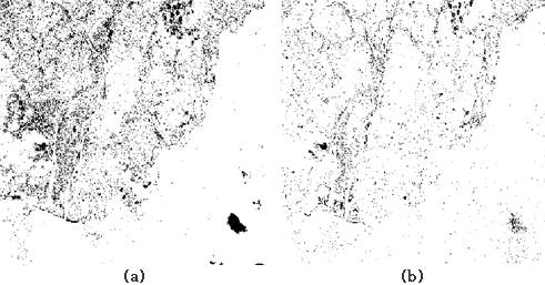 (a) NDVI 결과 (b) PCA Image Differencing 결과