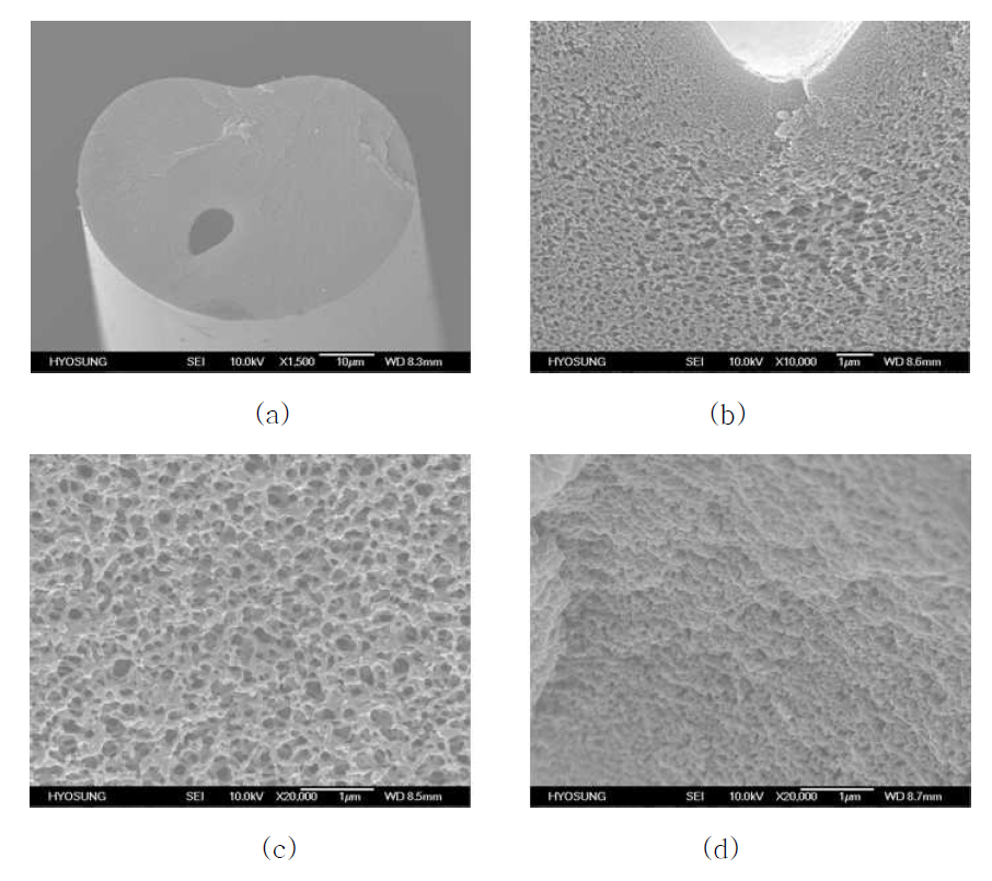 수세조건에 따라 형성된 수세사 내부의 미세 void SEM image