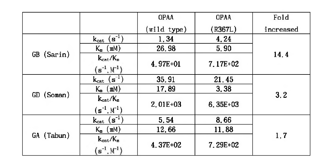 개량 OPAA의 G-계열 신경작용제 분해능 증가