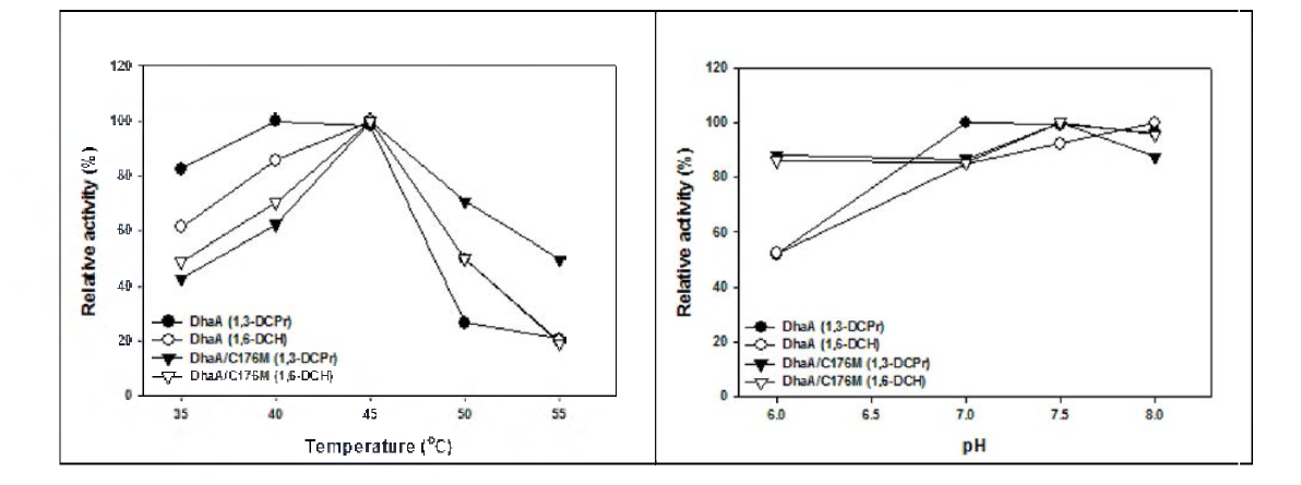 반응온도와 반응 pH가 Cys176Met 변이체 효소활성에 미치는 영향.