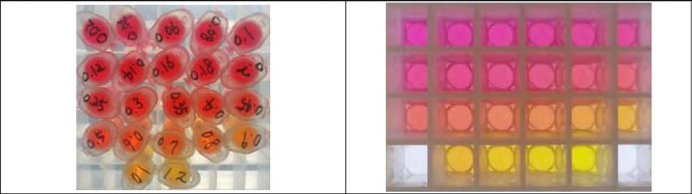 HC1 철가량에 따른 pH 지시반응액의 색 변화.