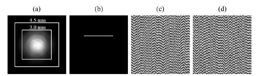 (a) SLM 입사 빔 i ntensity. (b) Targe t. (c) CGHl for odd target. (d )CGH2 for even target.