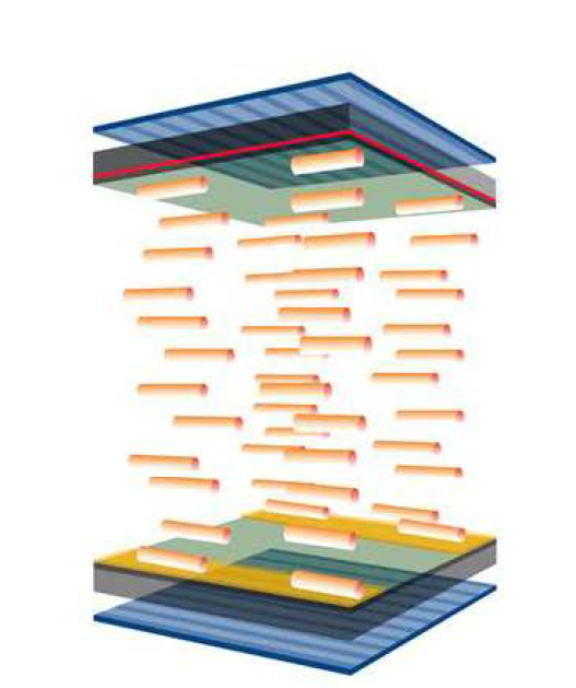 두 cell 사이에 정렬되어 있는 parallel -aligncd ncmatic liquid crystal.