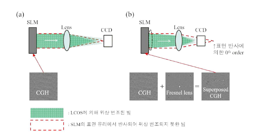 (a) LCOS에 의해 phase가 변조된 빔과 SLM의 표면 유리에서 반사된 빔이 CCD에 맺히는 예시. (b ) LCOS에 의해 phase가 변조된 빔에 Fresnel 렌즈가 중첩되어 SLM의 표면 유리에서 반사된 빔과 분리되어 CCD에 맺히는 예 시