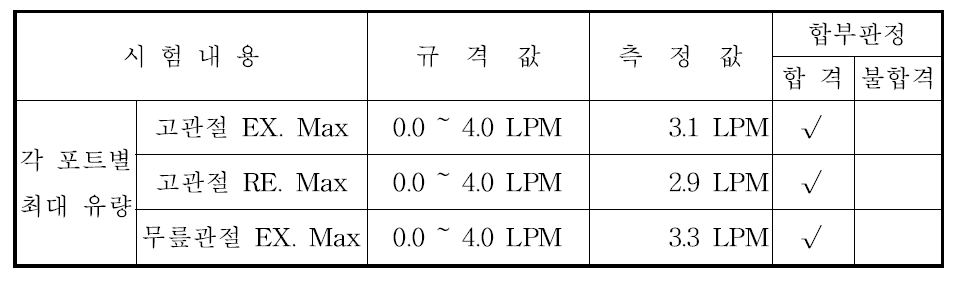 최대 생성유량 시험 결과