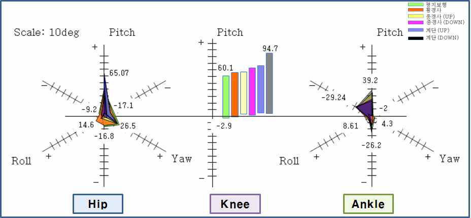 인체 운동 관절각 분석 결과
