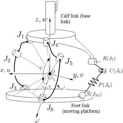 회전중심일치형 발목 메커니즘의 기구학적 구조