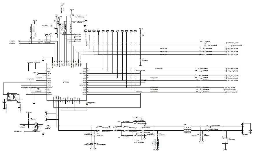 BCM89810 Schematic & Block Diagram