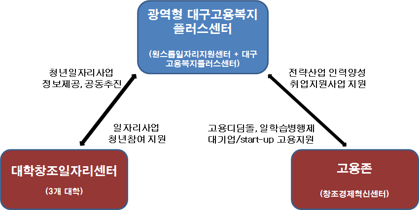 대구광역시 청년 고용서비스 네트워크(2016년)