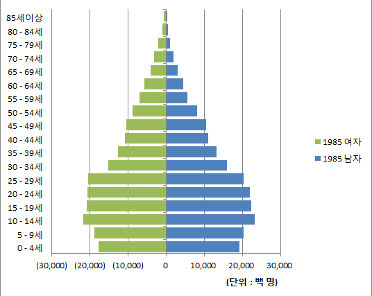 1985년 남녀 인구피라미드
