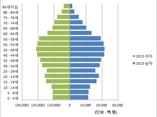 2015년 남녀 인구피라미드