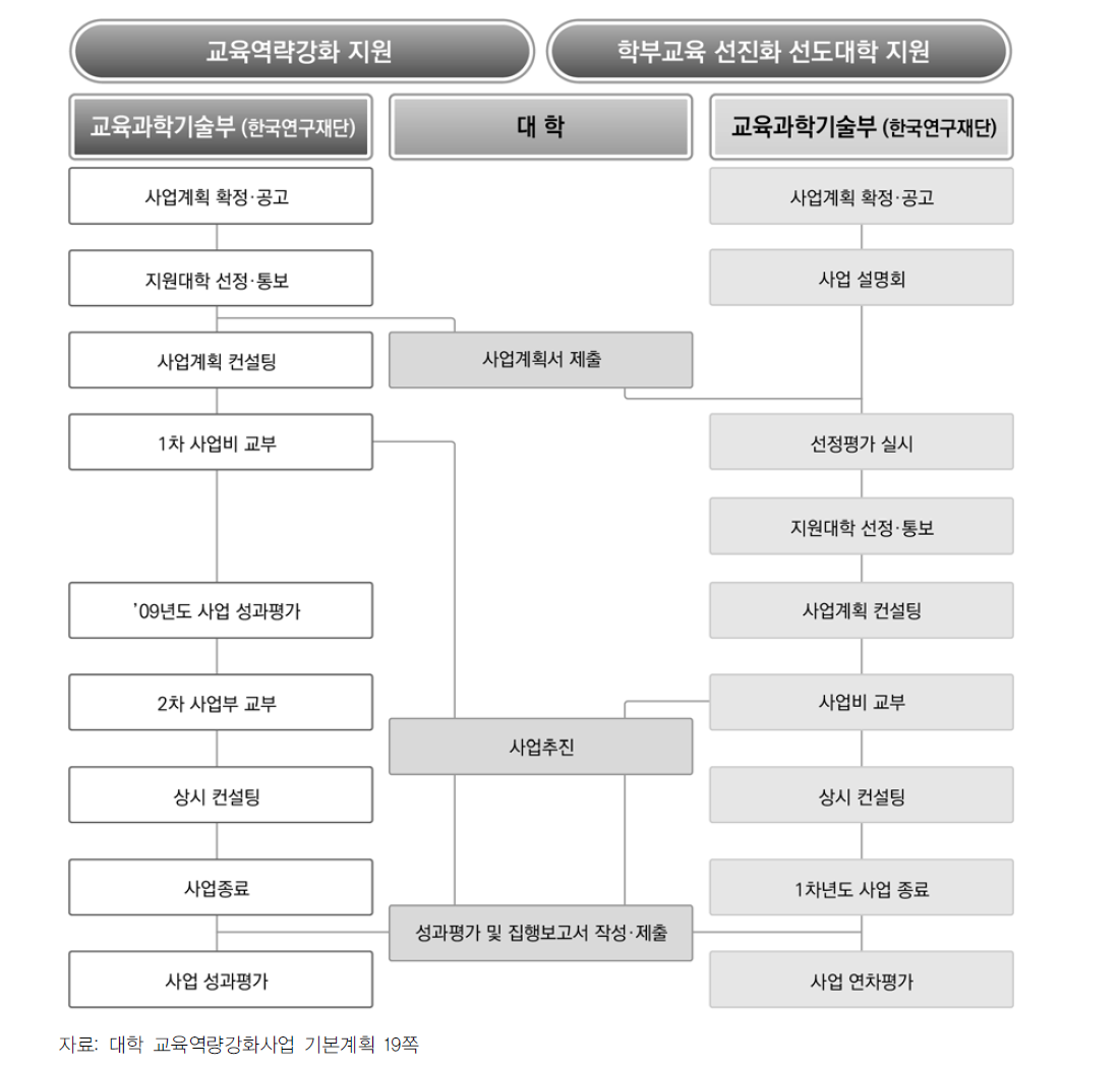 대학 교육역량강화사업 구조