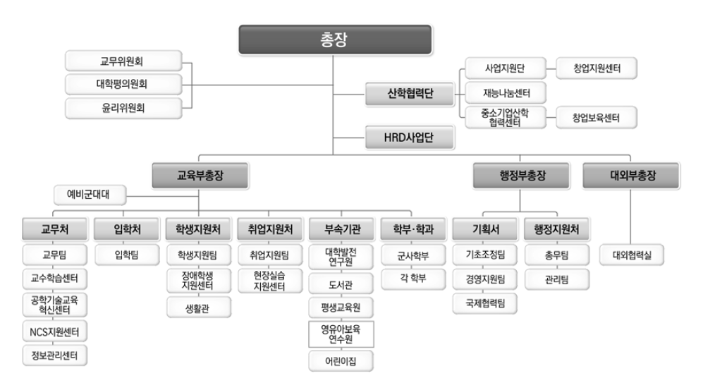 Z대학 조직현황