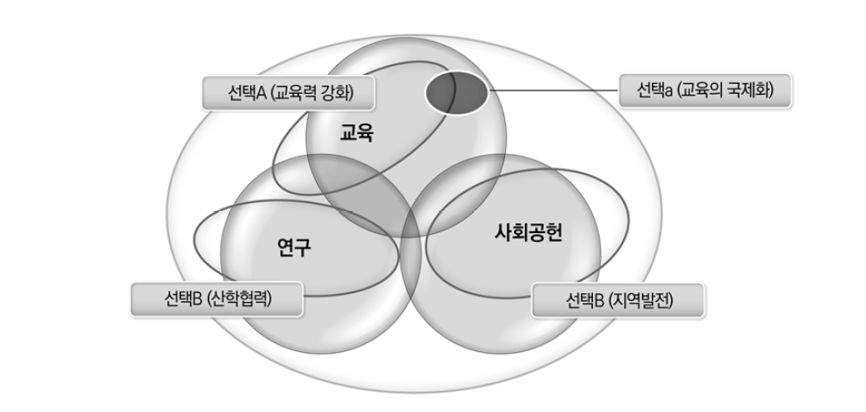 대학 특성화 예시