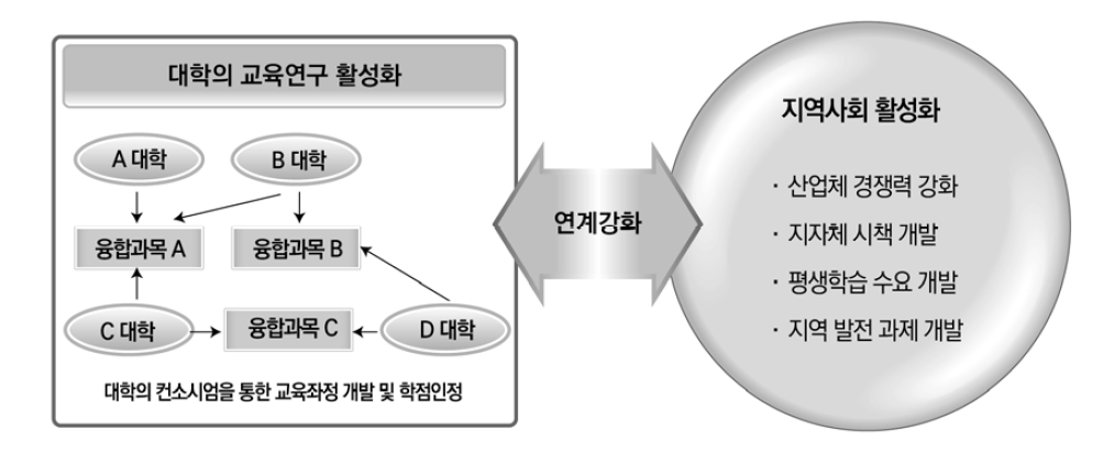 대학 컨소시엄 및 지역 연계 예시