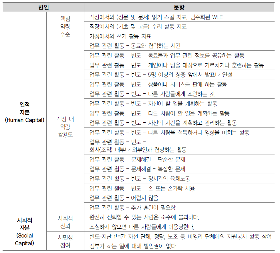 인적자본 및 사회적 자본 변인 문항