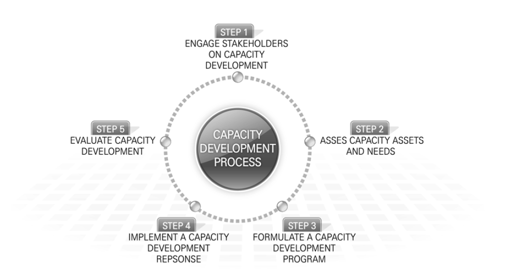 UNDP 역량개발 단계