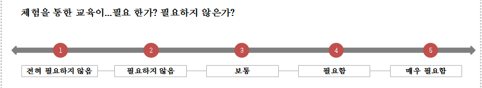 5점 척도 적용의 이해