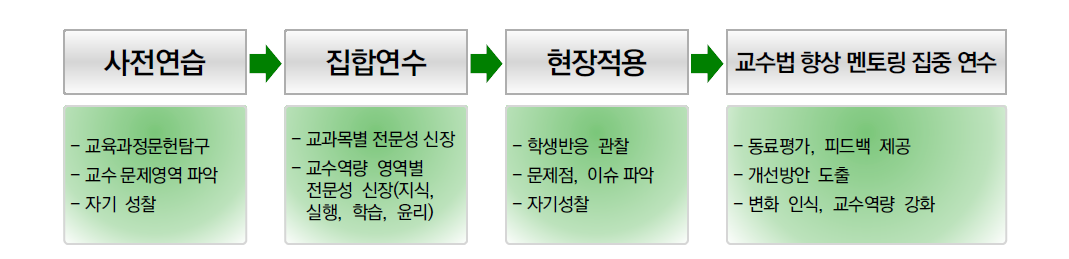 초등교원 역량 강화를 위한 초등교사 집단 연수 모델