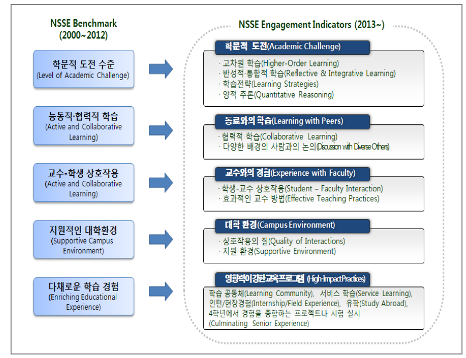 미국 NSSE의 주요 조사 항목