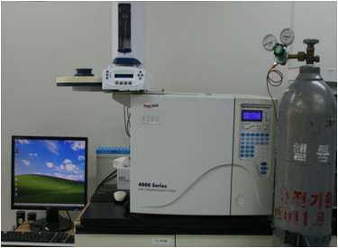 Gas-Chromatograph TCD