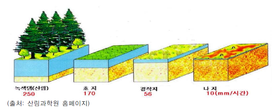 산림의 강수 흡수·저장기능