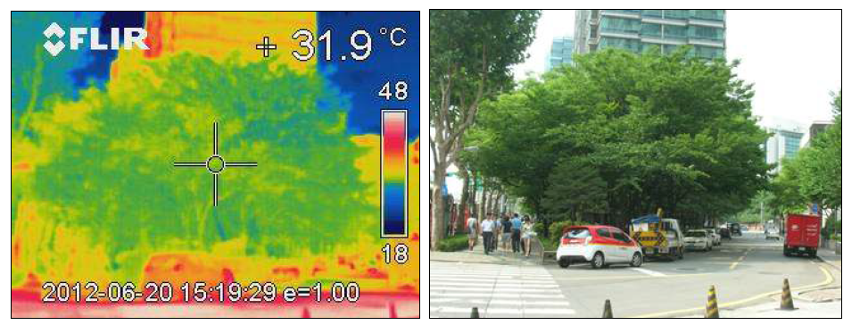 도시 도로 포장면의 표면온도(45℃)와 녹지의 표면온도(32℃)