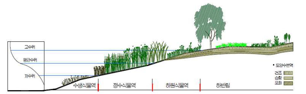 지표수, 지하수위와의 관게에 따른 하천식생 분포역