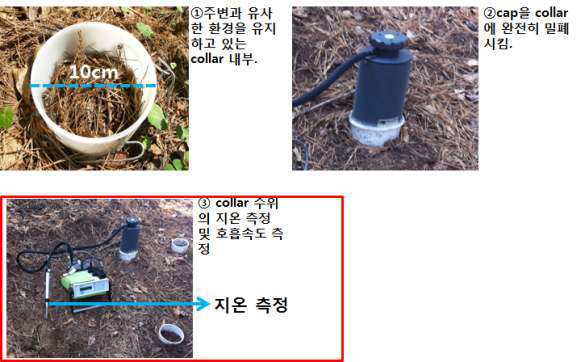 토양호흡을 측정하기 위해 설치된 collar와 토양호흡 및 토양환경을 측정하는 모습.