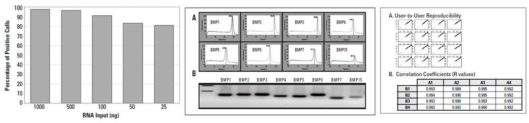 PCR array의 장점 (민감성, 특이성, 재현성)