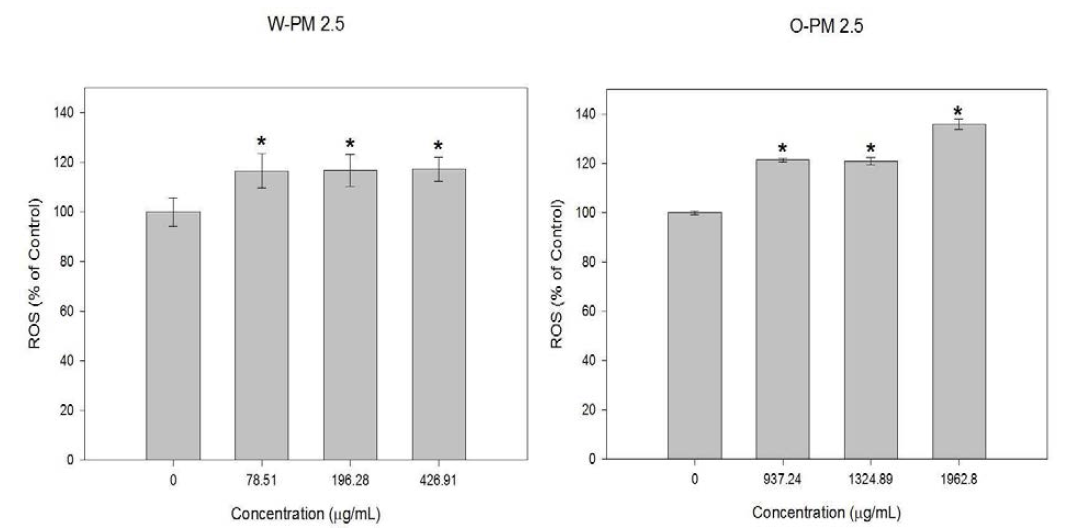 PM2.5 노출에 의한 A549 세포주에서의 활성산소종 변화