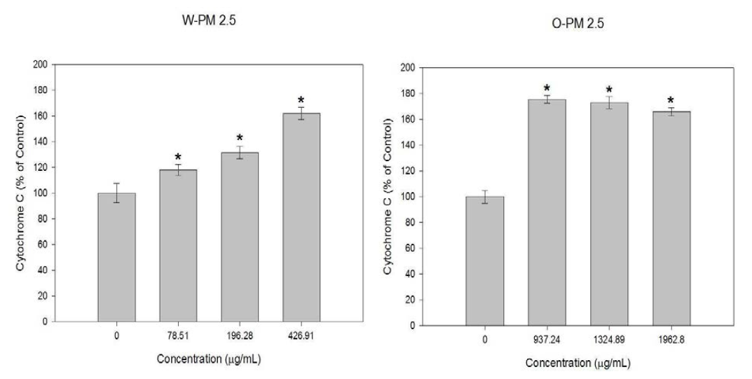 PM2.5 노출에 의한 A549 세포주에서의 Cytochrome C 측정을 통한 세포사멸사(Apoptosis) 변화