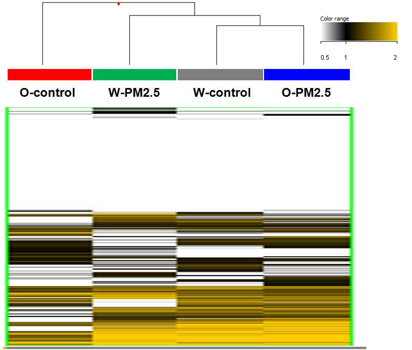 PM2.5 노출에 따른 A549 세포주 모델에서의 DNA methylation 양상