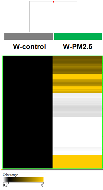 W-PM2.5 특이 methylated DNA 지표 발현 양상