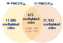 PM2.5 노출에 의해 공통적으로 발현 변화를 보이는 methylated site