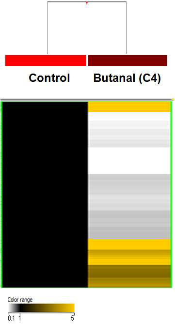 Butanal(C4) 특이 methylated DNA 지표 발현 양상