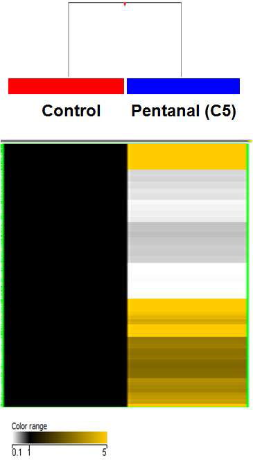 Pentanal(C5) 특이 methylated DNA 지표 발현 양상